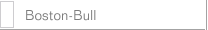 Boston-Bull